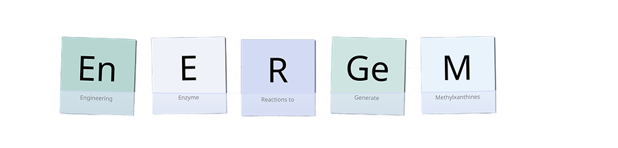 ENERGEM project