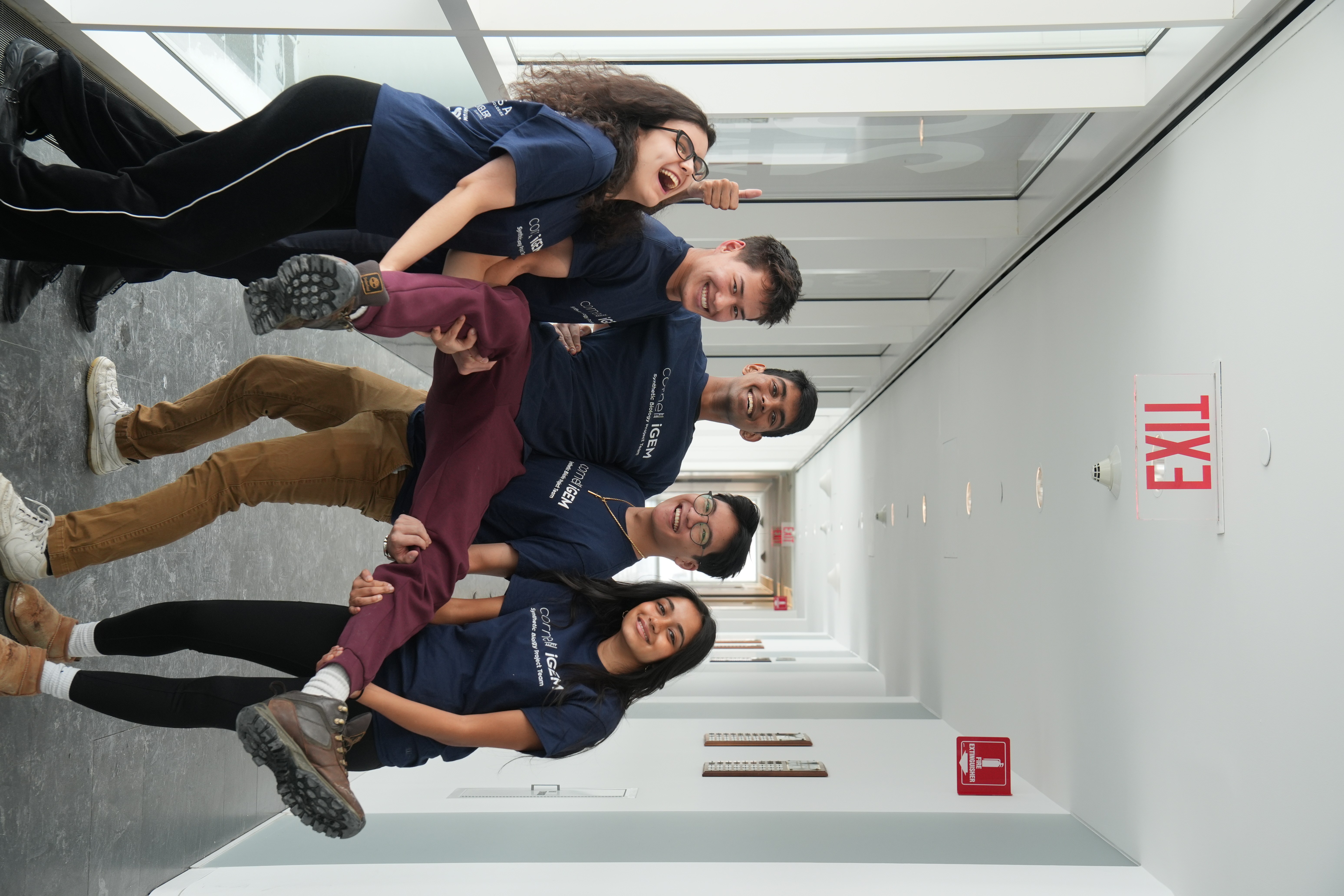 Business subteam, having fun