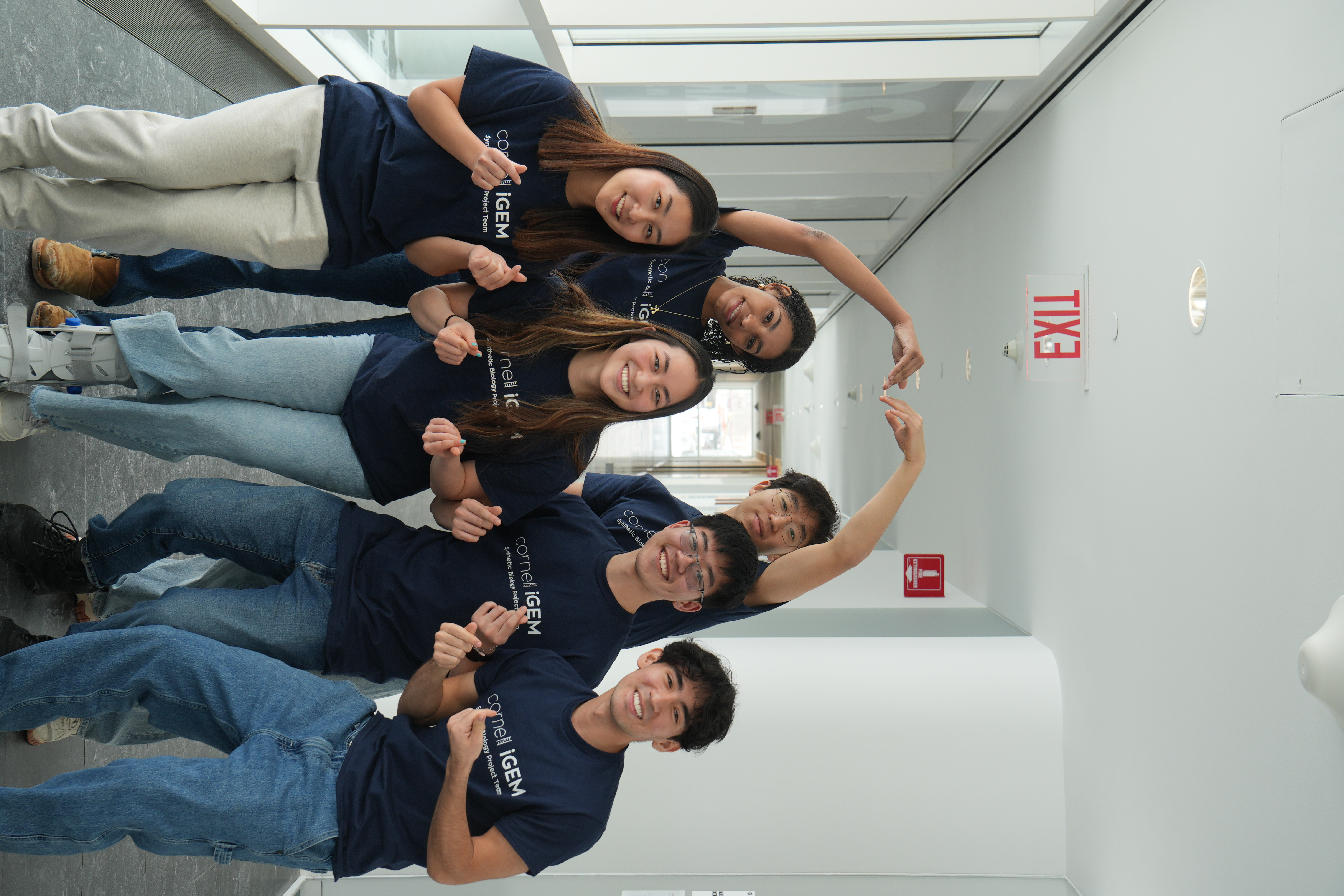 Policy & Practice subteam, having fun