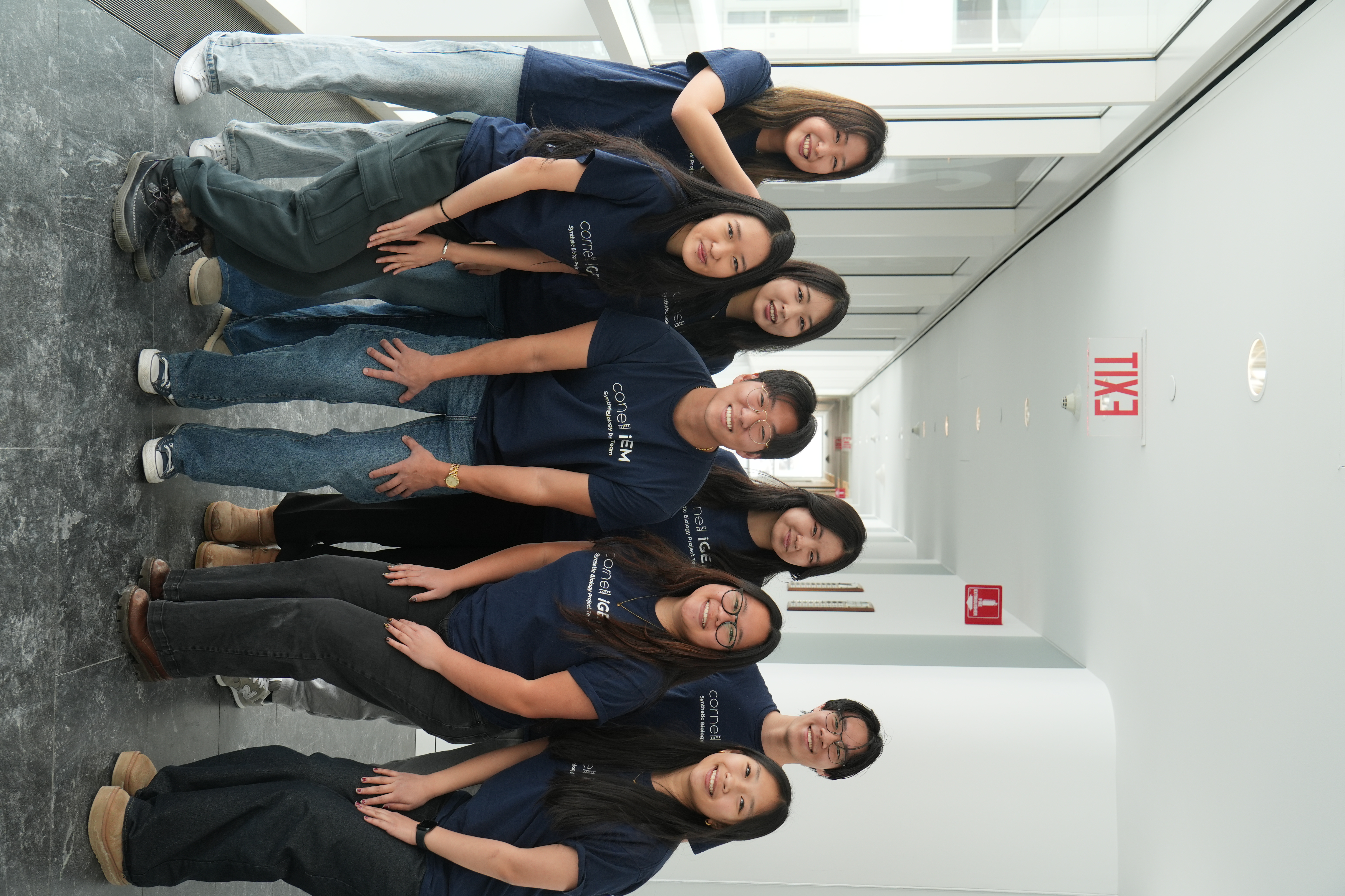 Wiki & Design subteam