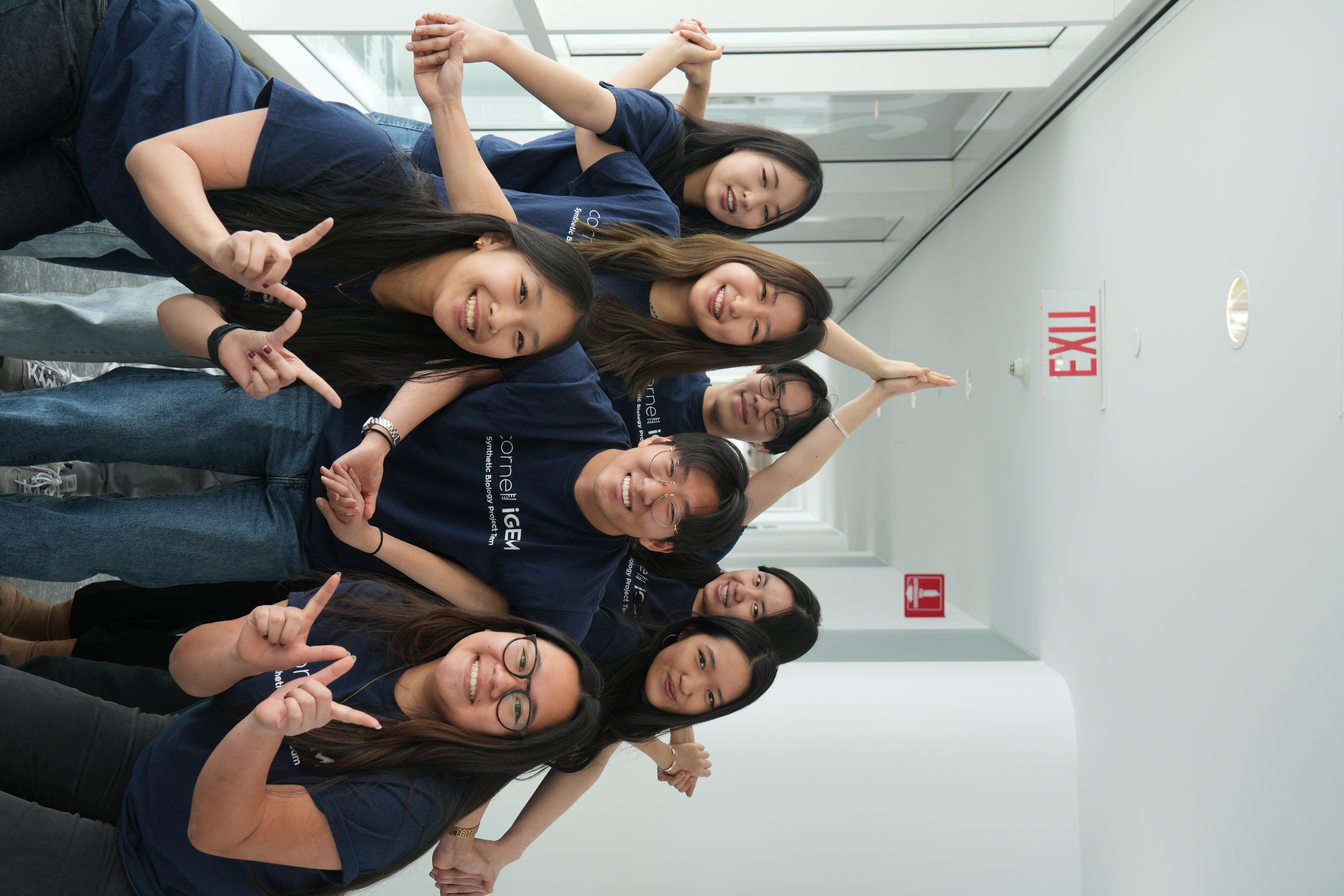 Wiki & Design subteam, having fun